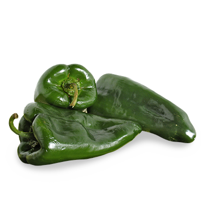 Poblano Pepper