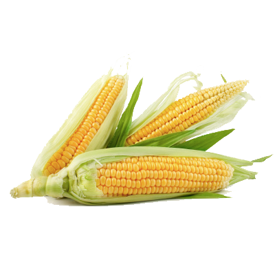 Corn