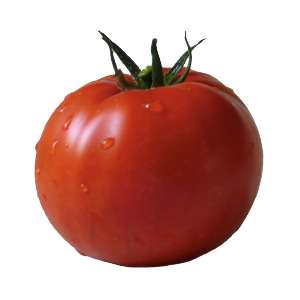 Pico de Gallo